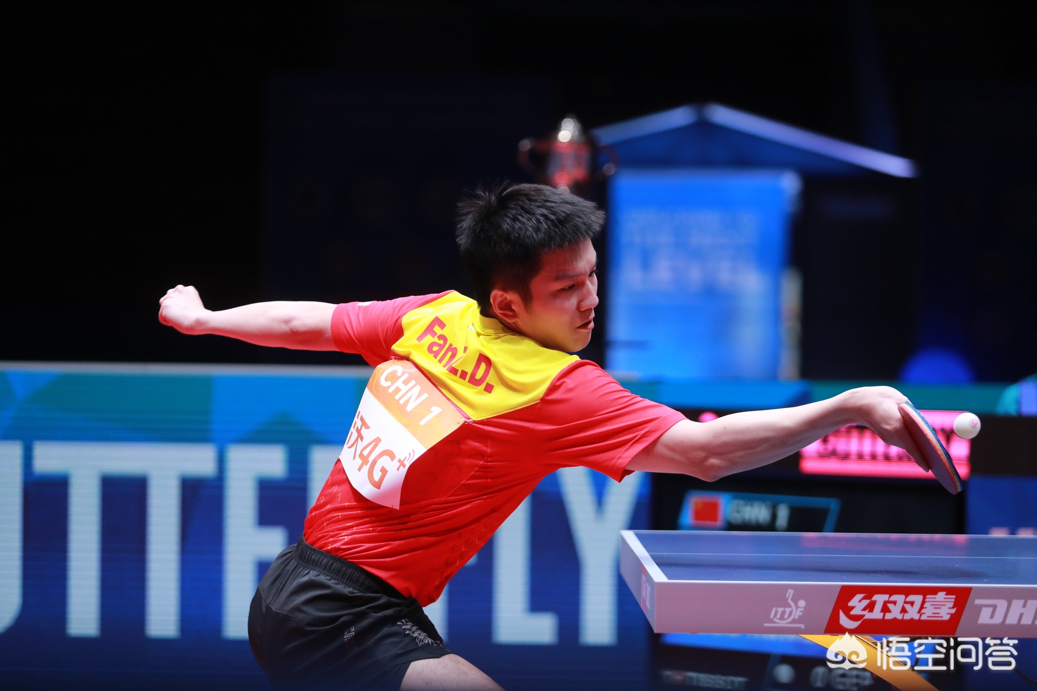 加克波在其 加克波在其